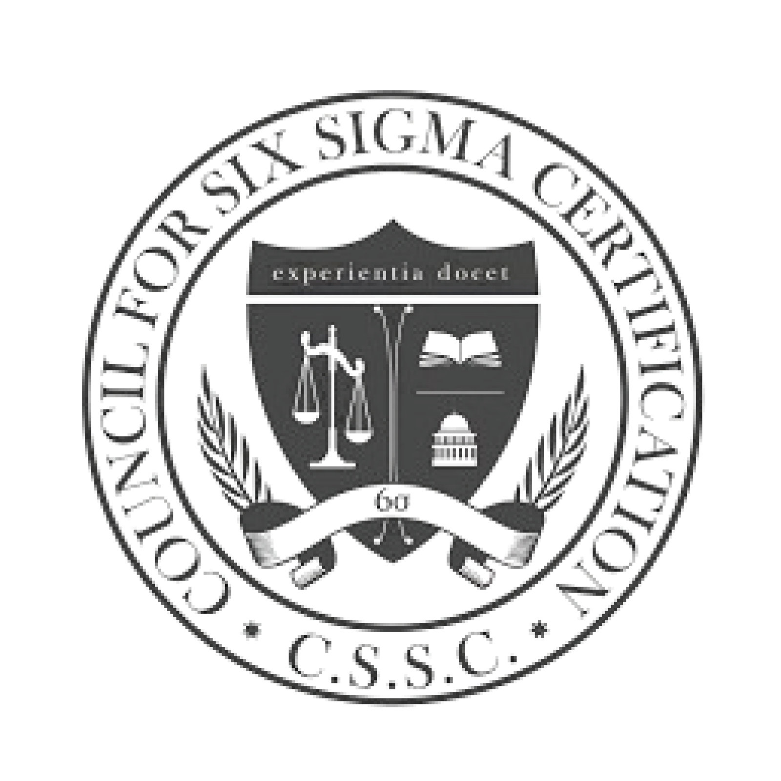 6 sigma 01 scaled