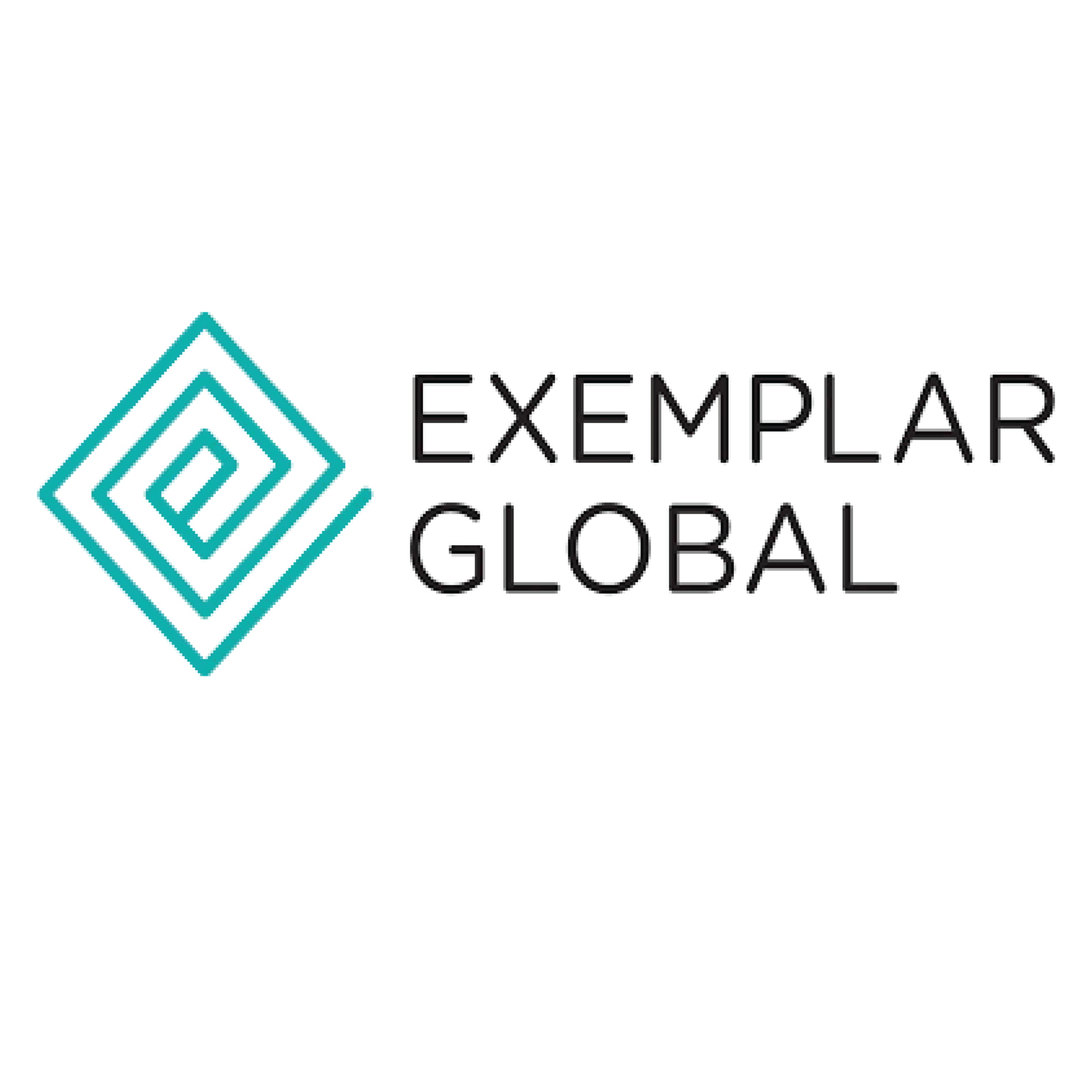 exemplor global 01 scaled