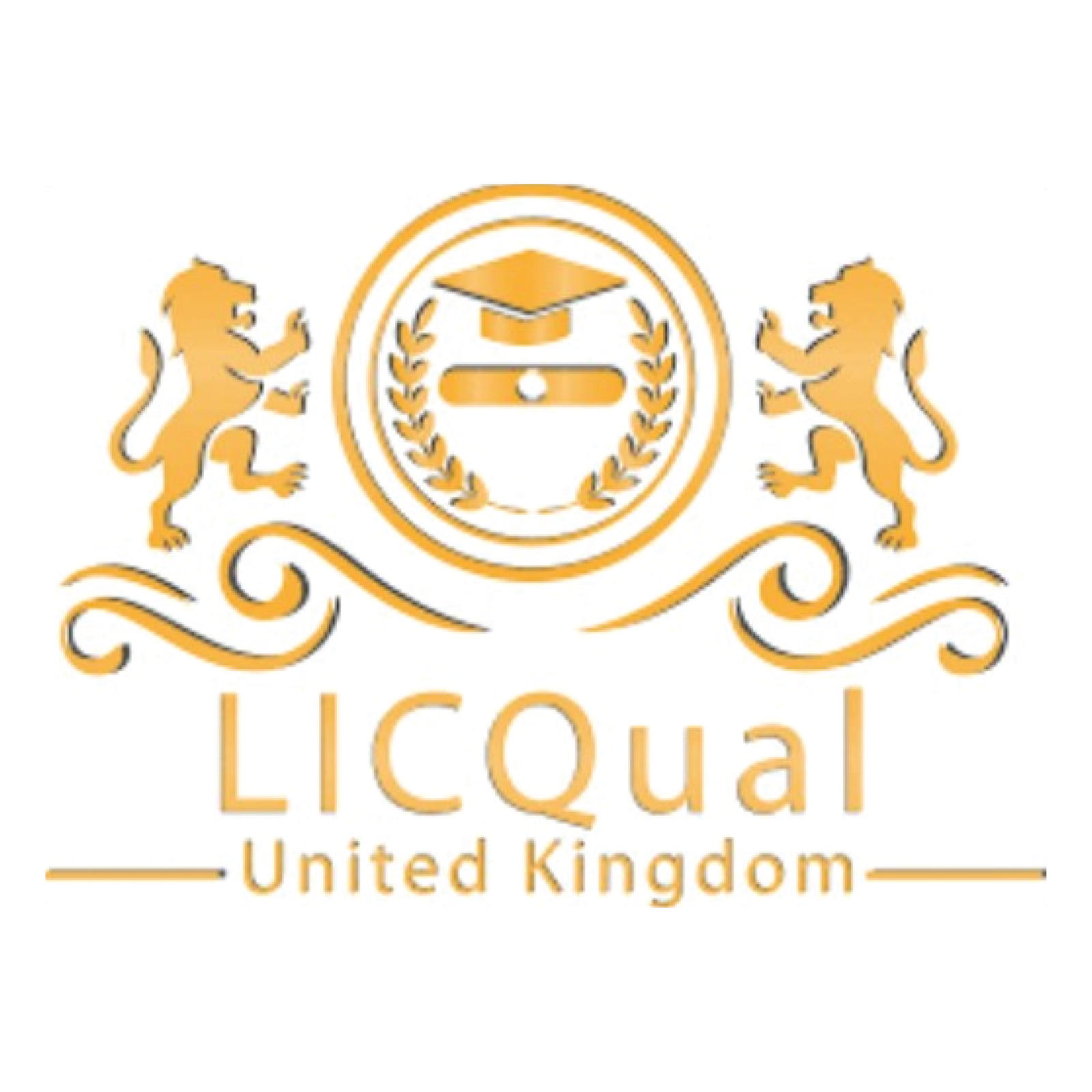 liqual 01 scaled